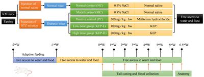 The antihyperglycemic effect of pulsed electric field-extracted polysaccharide of Kaempferia elegans officinale on streptozotocin induced diabetic mice